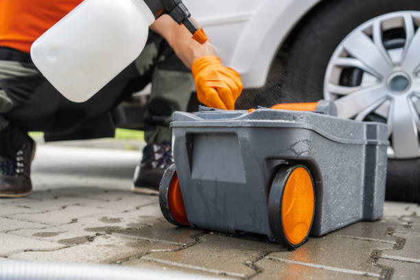 Best Stump Grinding and Removal  in San Dimas, CA